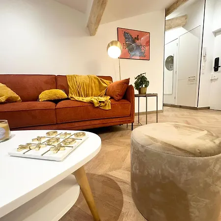 Elegant Mansarde-place Du Pin Apartment Nice